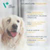 WIEJSKA ZAGRODA Beef with Wild Boar L – dry dog food – 20kg WIEJSKA ZAGRODA Beef with Wild Boar L – dry dog food – 20kg