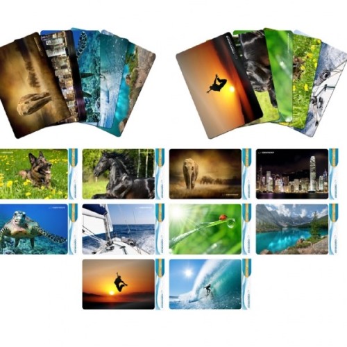 Esperanza EA133 mouse pad Multicolor Esperanza EA133 mouse pad Multicolor
