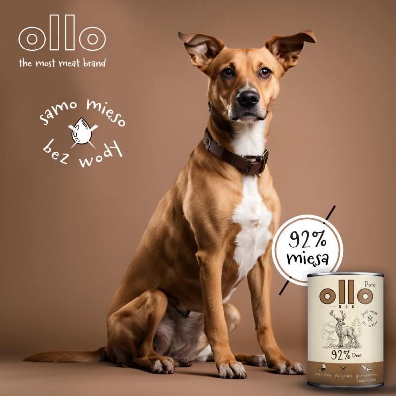 OLLO Pure Deer – wet dog food – 850 g