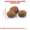 ROYAL CANIN Sterilised 7+ - dry cat food - 10 kg ROYAL CANIN Sterilised 7+ - dry cat food - 10 kg