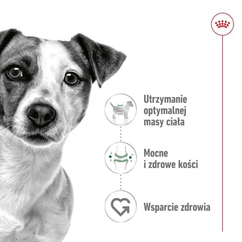 ROYAL CANIN Adult Mini S - dry dog food - 8kg ROYAL CANIN Adult Mini S - dry dog food - 8kg