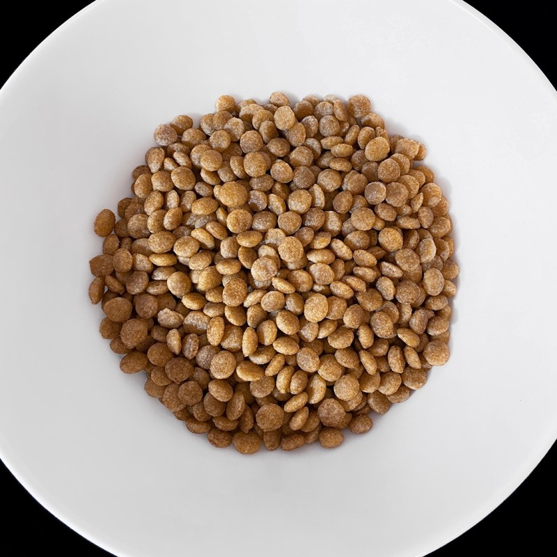 VET RESPONSE Hypoallergenic - dry cat food - 1,6kg