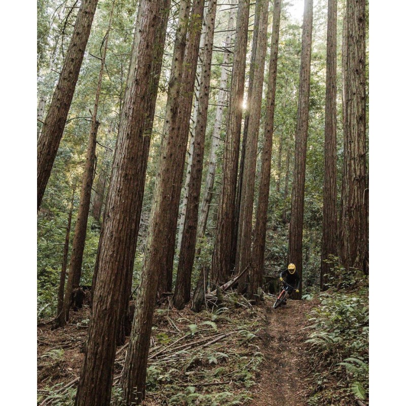 POC VPD System Torso Chest & back protector POC VPD System Torso Chest & back protector