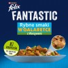 BRIT Care Fillets in Jelly chicken and cheese - wet cat food - 85 g BRIT Care Fillets in Jelly chicken and cheese - wet cat food - 85 g