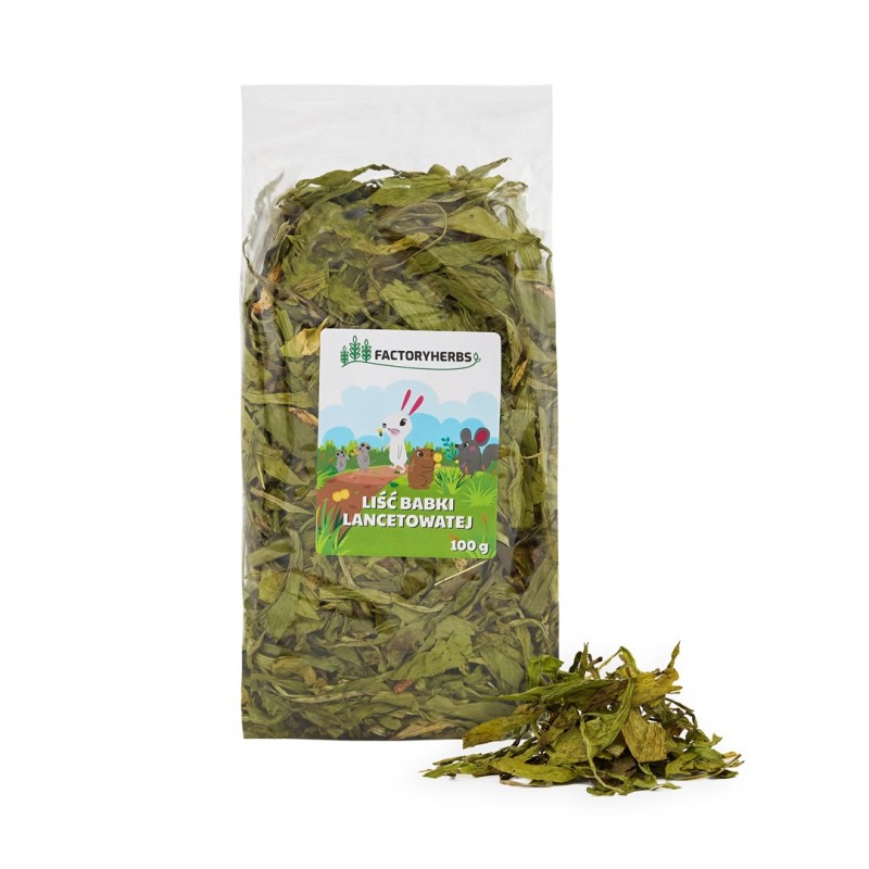 FACTORY HERBS Ribwort plantain leaves - treat for rodents and rabbits - 100g FACTORY HERBS Ribwort plantain leaves - treat for rodents and rabbits - 100g