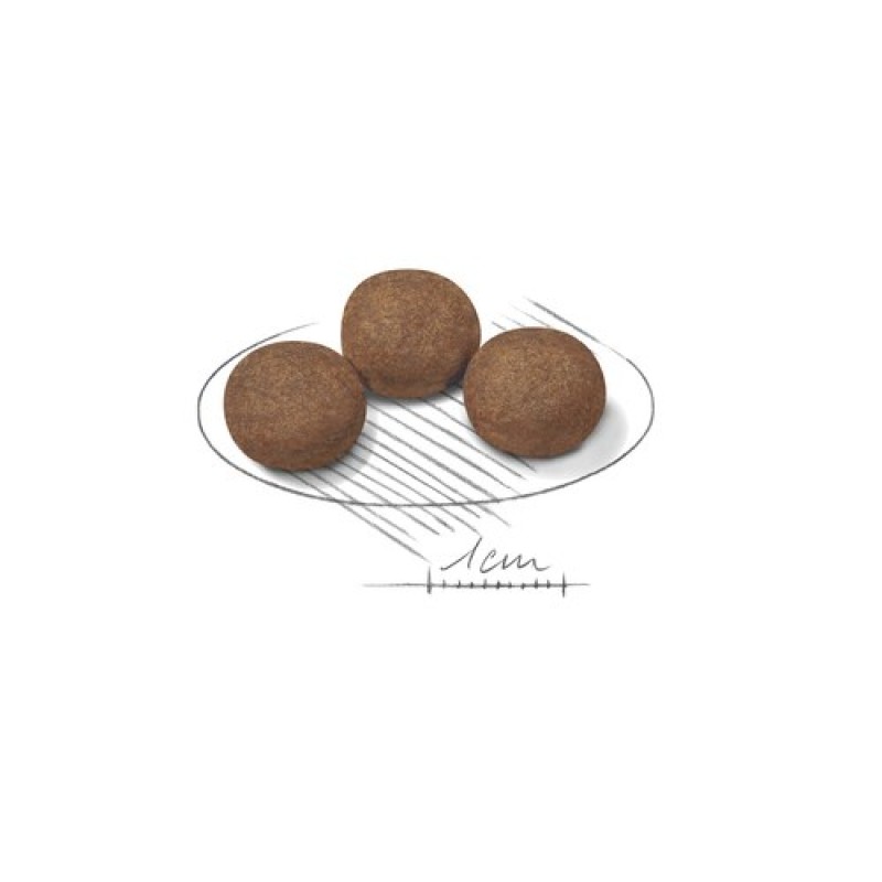 BOSCH Active - dry dog food - 15 kg BOSCH Active - dry dog food - 15 kg