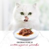 GOURMET Mon Petit Meat Mix - wet cat food - 6 x 50 g GOURMET Mon Petit Meat Mix - wet cat food - 6 x 50 g