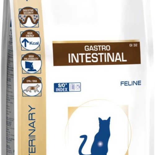 Royal Canin Gastro Intestinal Adult dry cat food 2 kg Royal Canin Gastro Intestinal Adult dry cat food 2 kg