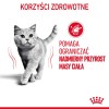 ROYAL CANIN FCN Light Weight Care in jelly - wet food for adult cats - 12x85g