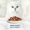 Purina 7613037552300 cats moist food 85 g
