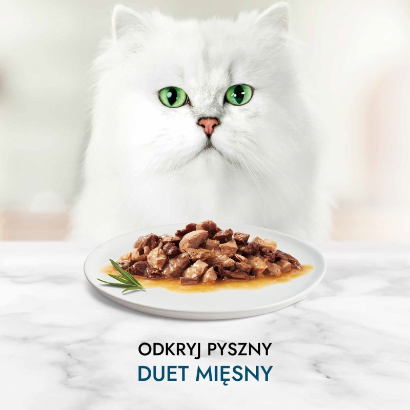 Purina 7613037552300 cats moist food 85 g Purina 7613037552300 cats moist food 85 g