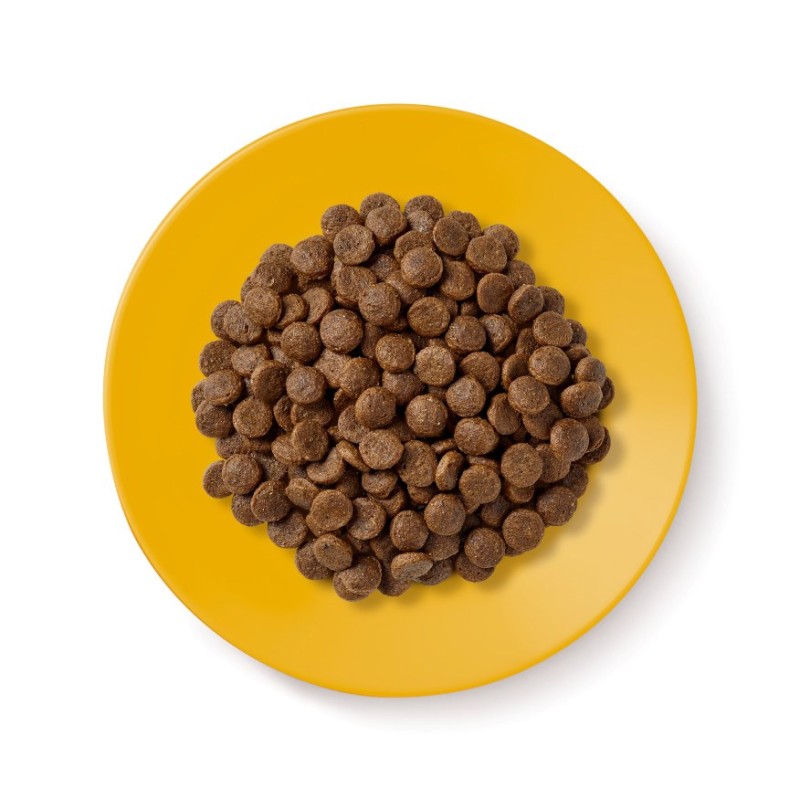 APPLAWS Senior Chicken - dry cat food - 2kg