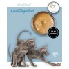 3COTY Turkey with chicken For kittens - wet cat food - 80g 3COTY Turkey with chicken For kittens - wet cat food - 80g