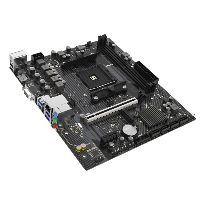 SAPPHIRE A520M-E motherboard
