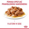 ROYAL CANIN Appetit Control pieces in sauce - wet cat food - 12 x 85g ROYAL CANIN Appetit Control pieces in sauce - wet cat food - 12 x 85g