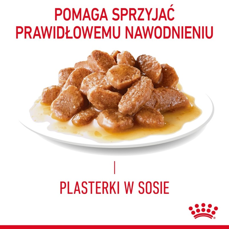 ROYAL CANIN Appetit Control pieces in sauce - wet cat food - 12 x 85g ROYAL CANIN Appetit Control pieces in sauce - wet cat food - 12 x 85g