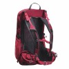 Gregory Jade 20 LT Women's trekking backpack - Red
