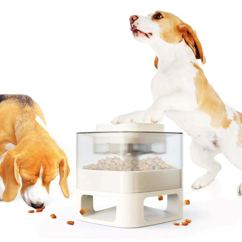EUKANUBA Adult Small&Medium Salmon - dry dog food - 12kg EUKANUBA Adult Small&Medium Salmon - dry dog food - 12kg