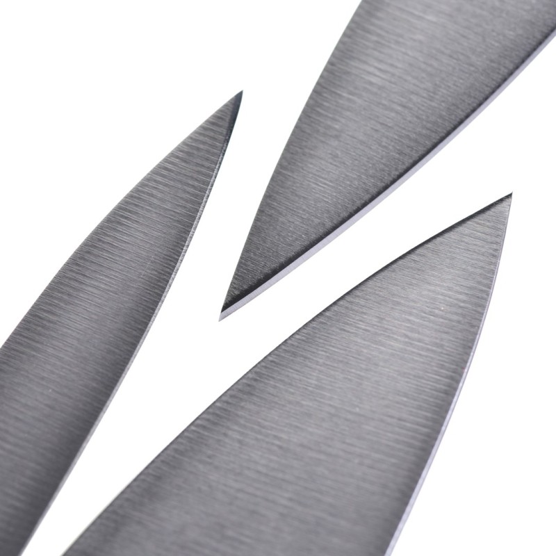 ZWILLING Set of knives Stainless steel Domestic knife ZWILLING Set of knives Stainless steel Domestic knife