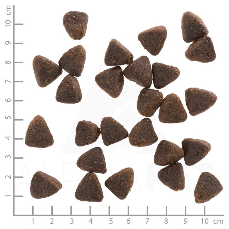 WOLFSBLUT Jack Rabbit - dry dog food - 12,5kg