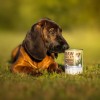 VETEXPERT RAW PALEO Adult Monoprotein Cod - wet dog food - 400 g VETEXPERT RAW PALEO Adult Monoprotein Cod - wet dog food - 400 g