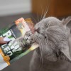 ZOLUX Scratching post Wonderful Cat 2 grey - cat scratcher - 60 x 42.5 x 114cm ZOLUX Scratching post Wonderful Cat 2 grey - cat scratcher - 60 x 42.5 x 114cm