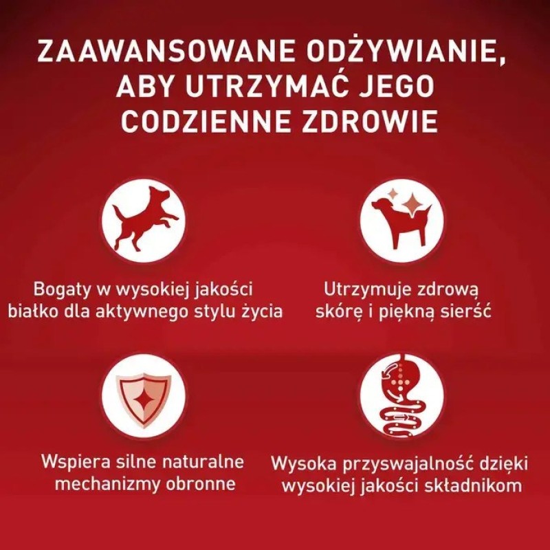 PURINA One Mini/Small Active Beef - wet dog food - 85g PURINA One Mini/Small Active Beef - wet dog food - 85g