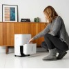 Taurus Pleasant Water Pump 30l Dehumidifier Taurus Pleasant Water Pump 30l Dehumidifier
