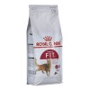 Royal Canin Feline Fit 2kg cats dry food Adult Royal Canin Feline Fit 2kg cats dry food Adult