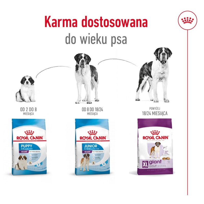 ROYAL CANIN Giant Adult - dry dog food - 15 kg ROYAL CANIN Giant Adult - dry dog food - 15 kg