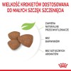 Royal Canin SHN Mini Puppy - dry puppy food - 4kg Royal Canin SHN Mini Puppy - dry puppy food - 4kg