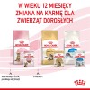 Royal Canin Sterilised Gravy 12x85g Royal Canin Sterilised Gravy 12x85g