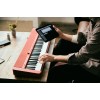 Casio CT-S1 Digital synthesizer 61 Red Casio CT-S1 Digital synthesizer 61 Red