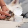 VET EXPERT Paw Protection - protective ointment for paws for dogs and cats - 75 ml VET EXPERT Paw Protection - protective ointment for paws for dogs and cats - 75 ml