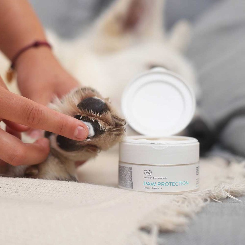VET EXPERT Paw Protection - protective ointment for paws for dogs and cats - 75 ml VET EXPERT Paw Protection - protective ointment for paws for dogs and cats - 75 ml