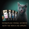SHEBA Sauce Collection Fish flavors collection - wet cat food - 40x85 g SHEBA Sauce Collection Fish flavors collection - wet cat food - 40x85 g