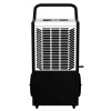 Adler AD 7864 Industrial air dryer Black