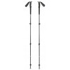 Kije trekkingowe Black Diamond Trail Trekking Poles Pine Smoke