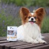 VITAKRAFT Treaties Minis with liver - dog treat - 48 g VITAKRAFT Treaties Minis with liver - dog treat - 48 g