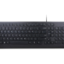 Lenovo Essential keyboard Universal USB QWERTY US English Black