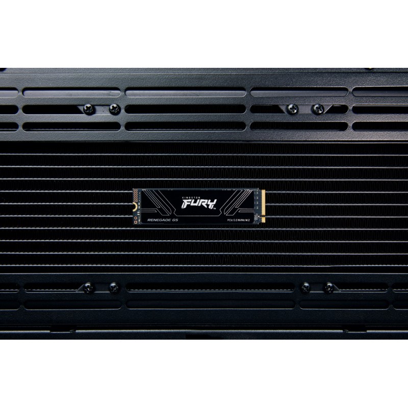 Kingston Technology 4T FURY RENEGADE G5 M.2 2280 NVMe SSD Kingston Technology 4T FURY RENEGADE G5 M.2 2280 NVMe SSD