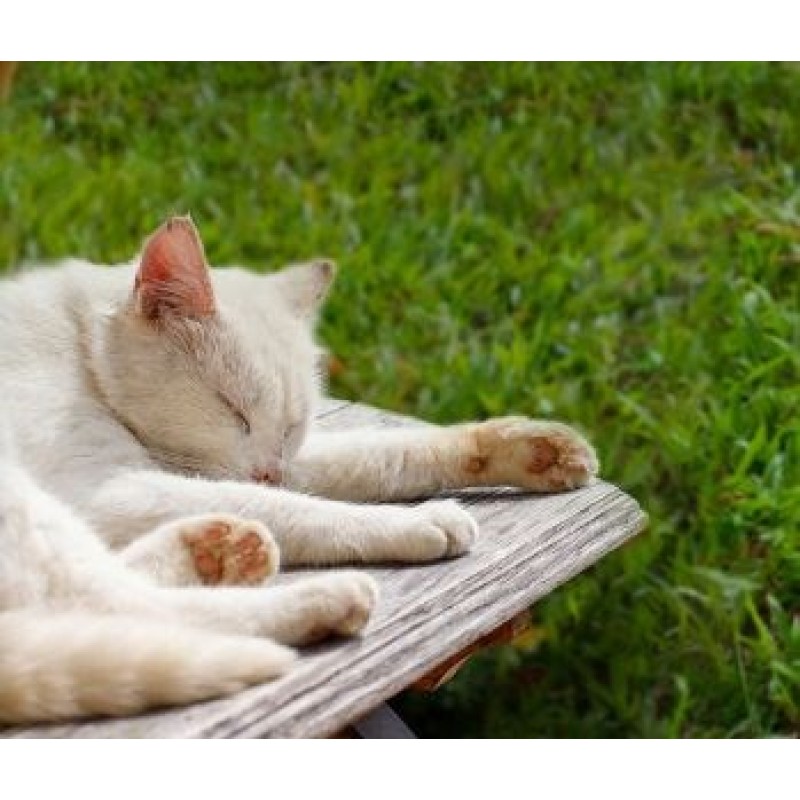 Robot koszący EZVIZ RM600