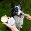 GREEN SANTE Natural nose balm for dogs and cats – 60 ml GREEN SANTE Natural nose balm for dogs and cats – 60 ml
