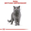 ROYAL CANIN British Shorthair - dry cat food - 2 kg