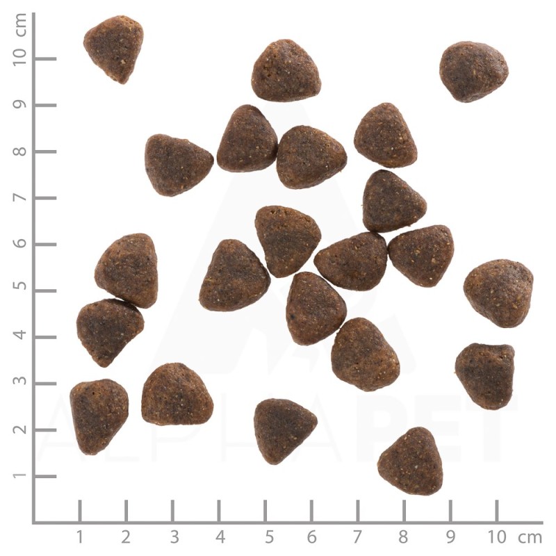 Royal Canin SHN Maxi Adult 4kg