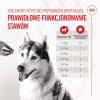 ROYAL CANIN Supplements Dog Joint & Ageing Adult - dog vitamins - 240g