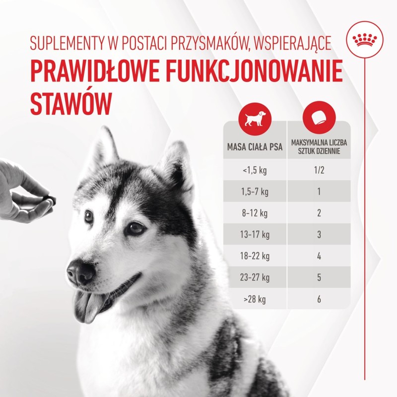 ROYAL CANIN Supplements Dog Joint & Ageing Adult - dog vitamins - 240g ROYAL CANIN Supplements Dog Joint & Ageing Adult - dog vitamins - 240g