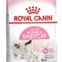 Royal Canin Mother & Babycat 34 dry cat food 0,4 kg