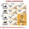ROYAL CANIN FBN Bengal Adult - dry cat food - 10kg ROYAL CANIN FBN Bengal Adult - dry cat food - 10kg