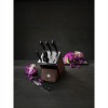 Knife Set Zwilling Pro in block 38448-007-0 (6 pieces) Knife Set Zwilling Pro in block 38448-007-0 (6 pieces)